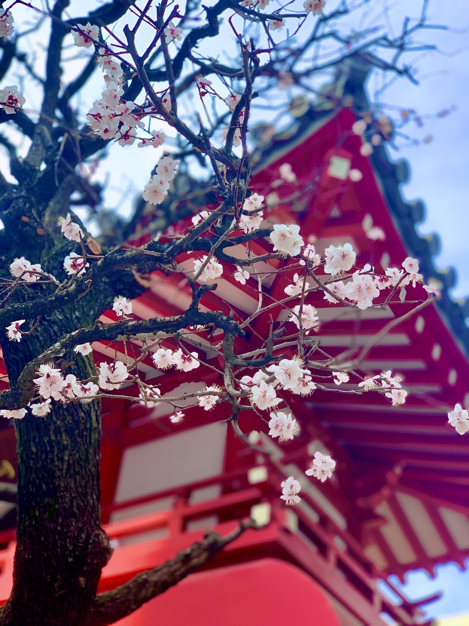 初夏の陽気