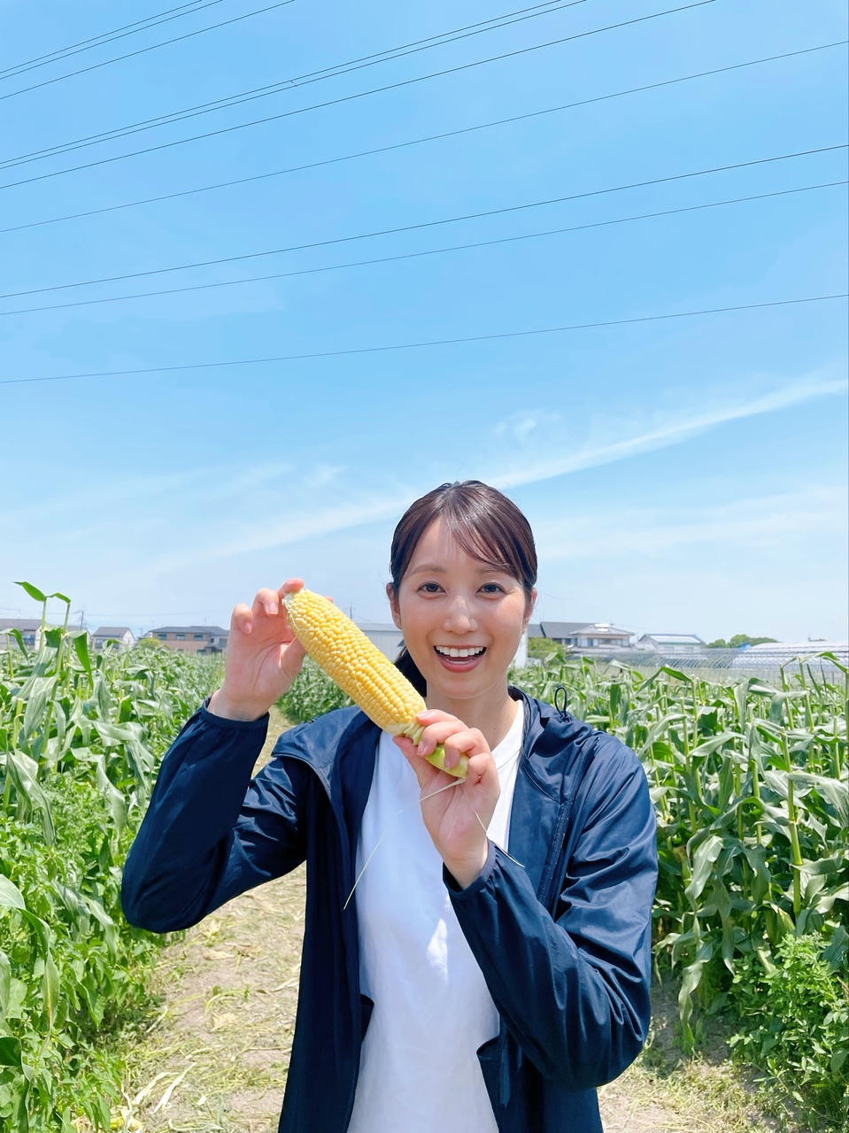 気持ちのいい青空