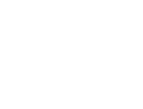 残り2日