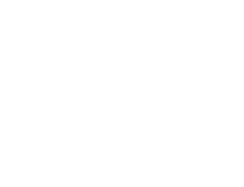 残り4日