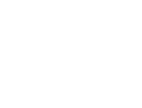 残り6日