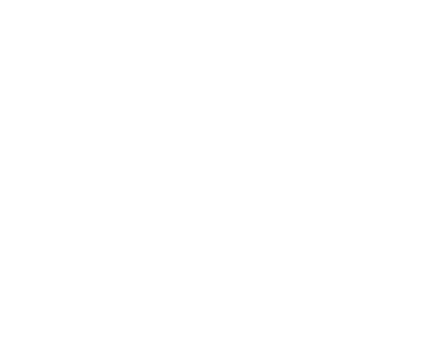 残り9日