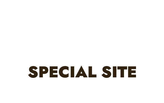 SPECIAL SITE