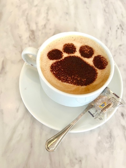 にゃんこ☕️♥️