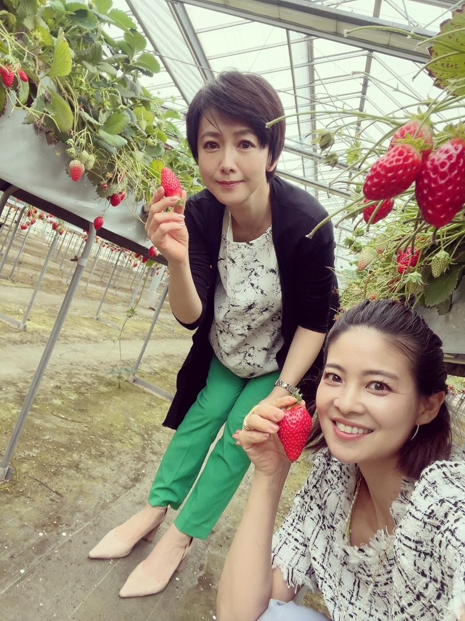 いちご狩り🍓