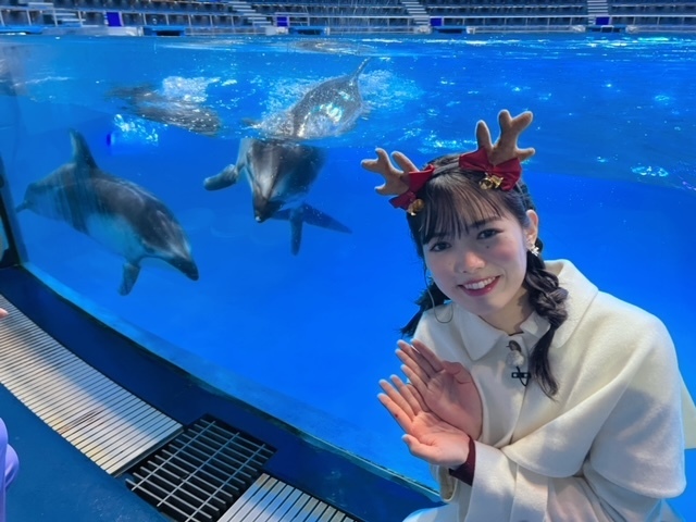 マクセル　アクアパーク品川🐬(めざましお天気中継)