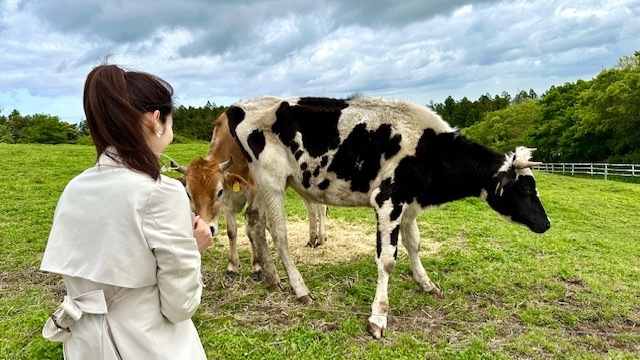 牛さん🐄💕