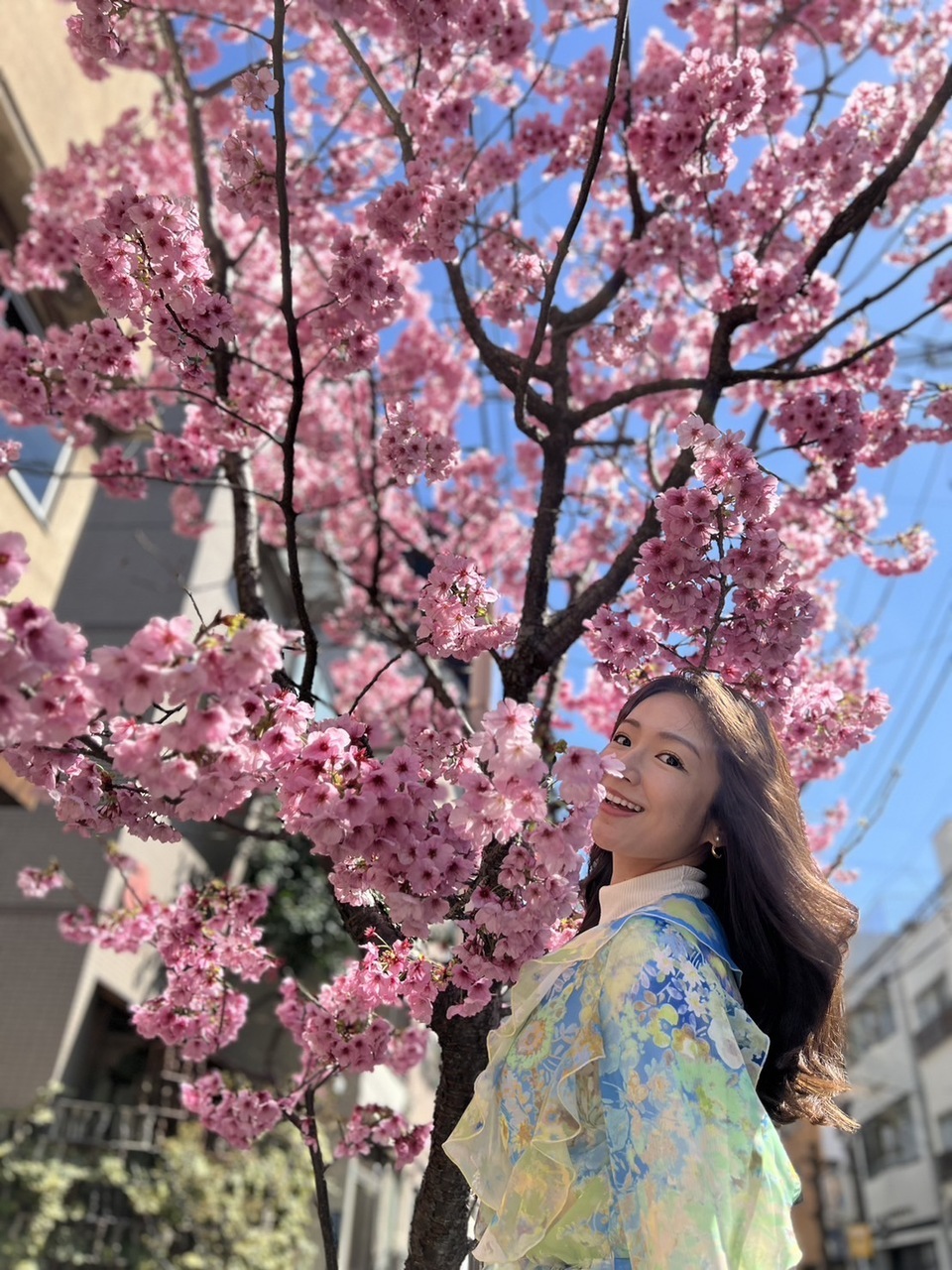 桜