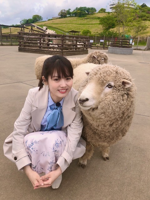 めざど🐏マザー牧場