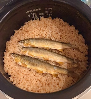 鮎飯🐟