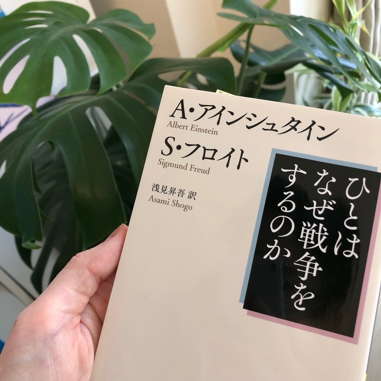 読書週間📖