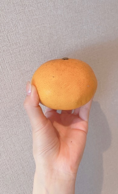 甘夏🍊