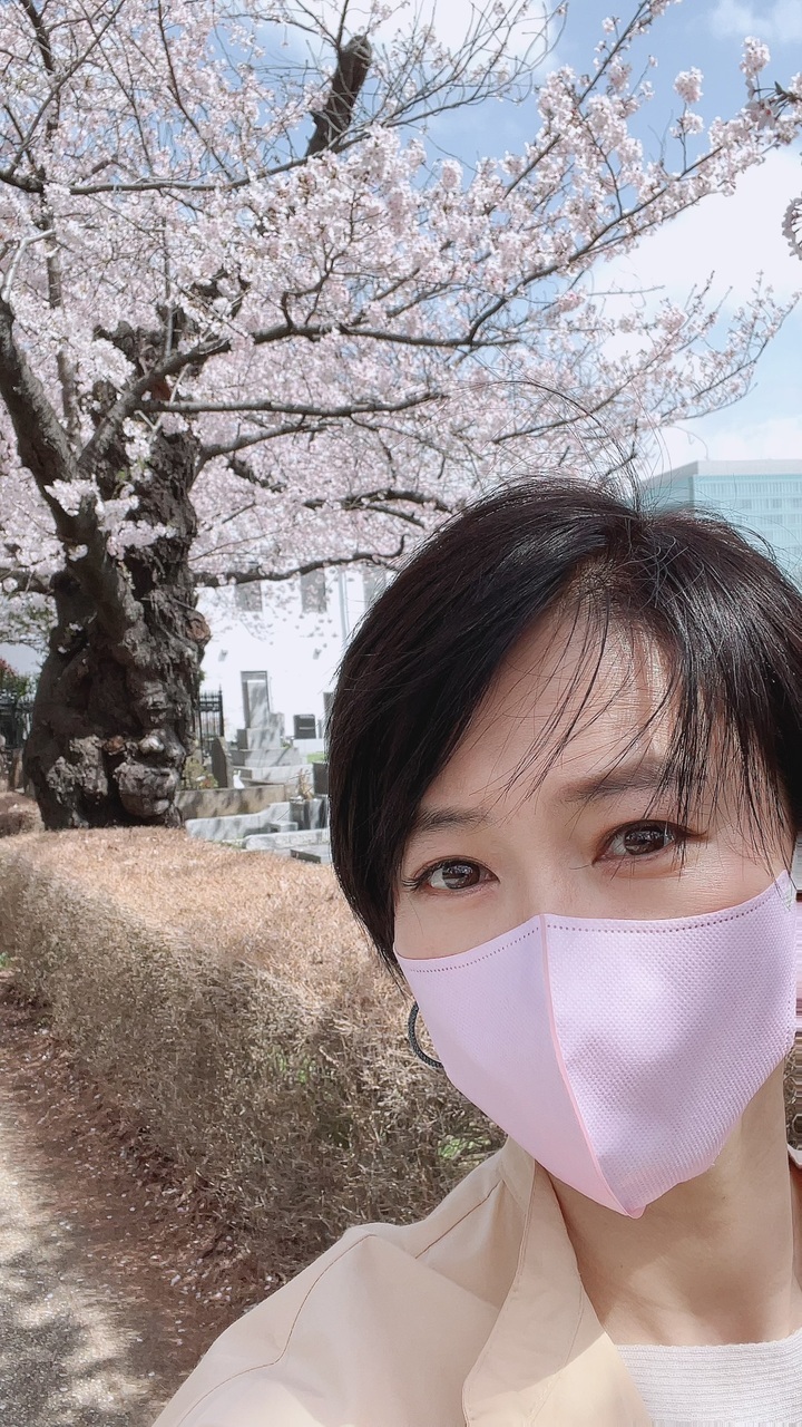 桜🌸