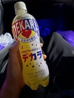 デカビタ好き!?