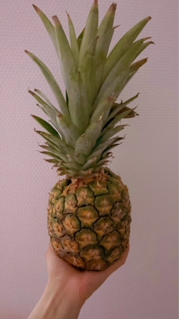 最近のおやつ🍍